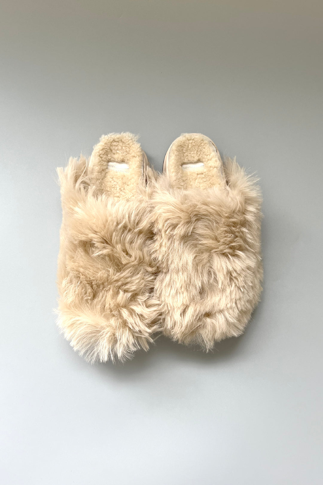 LOTTADESIGN ボアシューズ ALL SHOES – LOTTADESIGN.